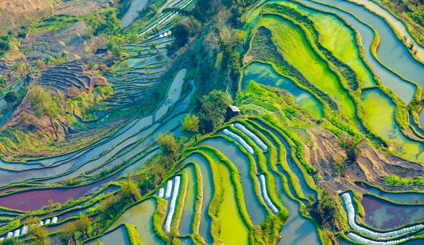 宝妈必备神器：龙子湖区产品视频拍摄轻松育儿好帮手