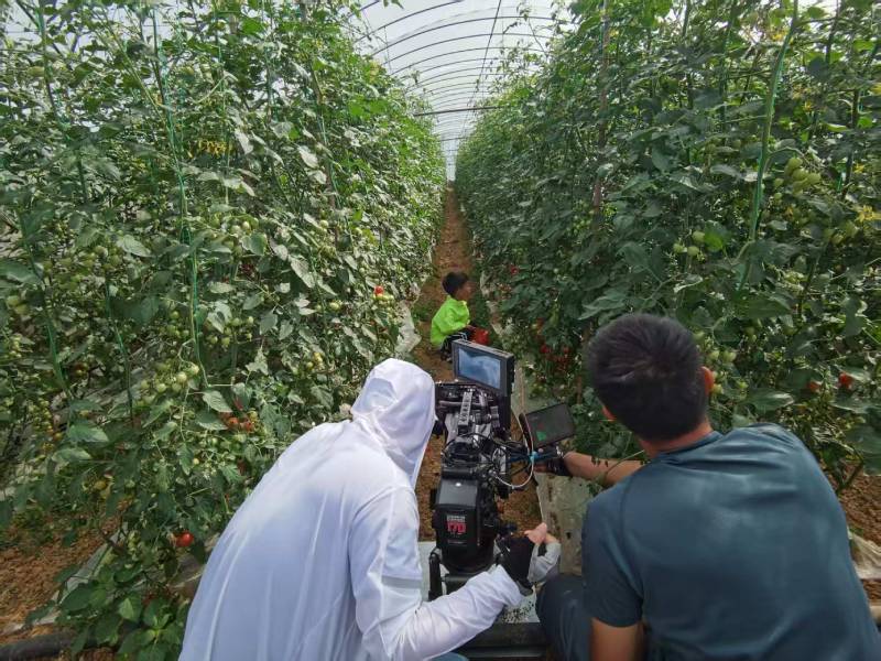 龙子湖区产品宣传视频拍摄公司进阶指南，助力品牌抢占传播高地